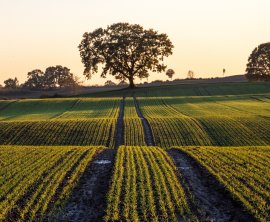 What is a Deed of Easement for a Right of Way?