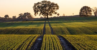 What is a Deed of Easement for a Right of Way?