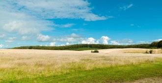 Third Party: Challenging a Planning Permission Granted by the Local Planning Authority